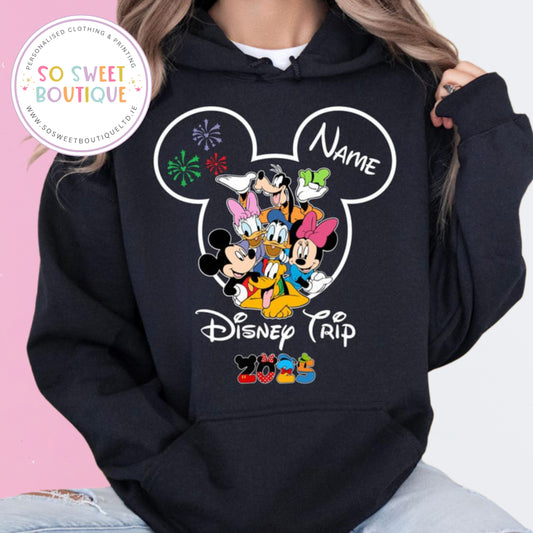 Disneyland Mickey & Friends Ladies Hoodie - Various Colours